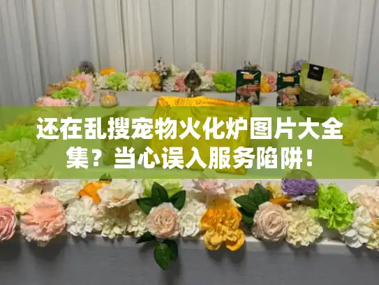 还在乱搜宠物火化炉图片大全集？当心误入服务陷阱！