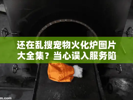 还在乱搜宠物火化炉图片大全集？当心误入服务陷阱！
