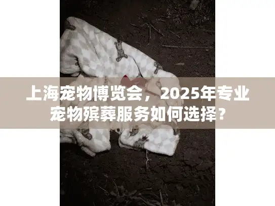 上海宠物博览会，2025年专业宠物殡葬服务如何选择？