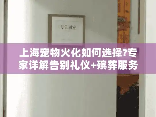 上海宠物火化如何选择?专家详解告别礼仪+殡葬服务全流程