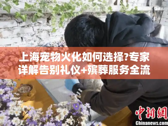 上海宠物火化如何选择?专家详解告别礼仪+殡葬服务全流程
