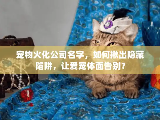 宠物火化公司名字，如何揪出隐藏陷阱，让爱宠体面告别？