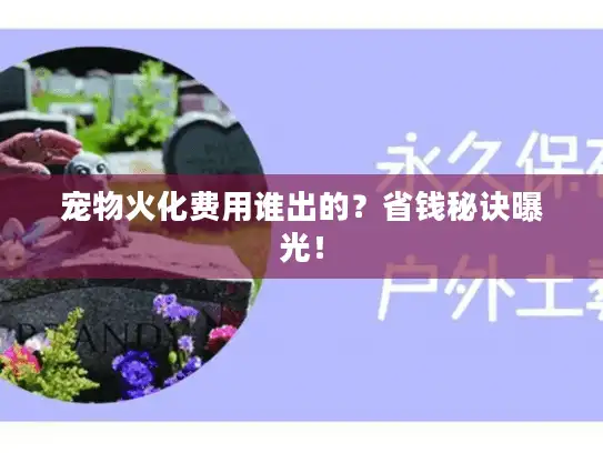 宠物火化费用谁出的？省钱秘诀曝光！