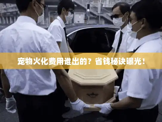 宠物火化费用谁出的？省钱秘诀曝光！