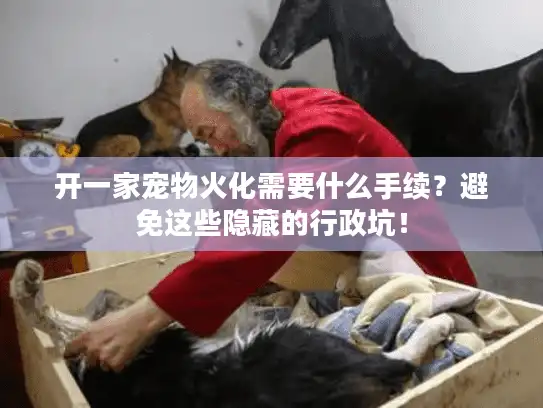 开一家宠物火化需要什么手续？避免这些隐藏的行政坑！