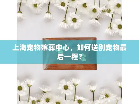 上海宠物殡葬中心，如何送别宠物最后一程？