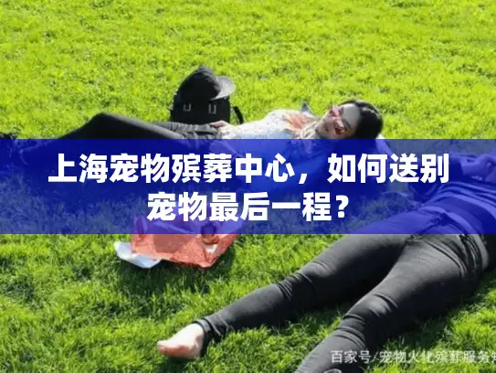 上海宠物殡葬中心，如何送别宠物最后一程？