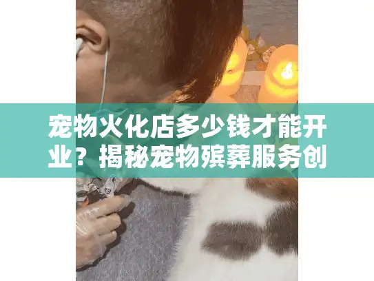 宠物火化店多少钱才能开业？揭秘宠物殡葬服务创业痛点
