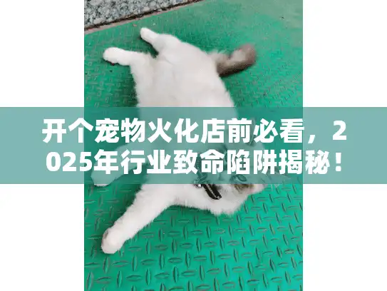 开个宠物火化店前必看，2025年行业致命陷阱揭秘！