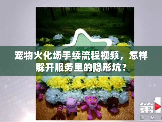 宠物火化场手续流程视频，怎样躲开服务里的隐形坑？