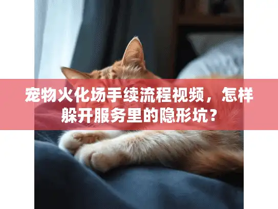 宠物火化场手续流程视频，怎样躲开服务里的隐形坑？