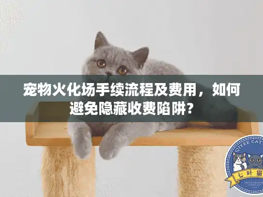 宠物火化场手续流程及费用，如何避免隐藏收费陷阱？