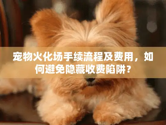 宠物火化场手续流程及费用，如何避免隐藏收费陷阱？