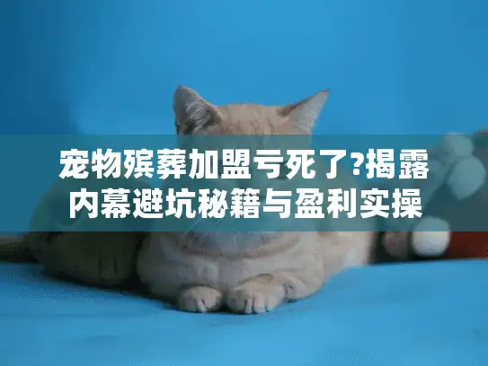 宠物殡葬加盟亏死了?揭露内幕避坑秘籍与盈利实操