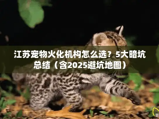 江苏宠物火化机构怎么选？5大暗坑总结（含2025避坑地图）