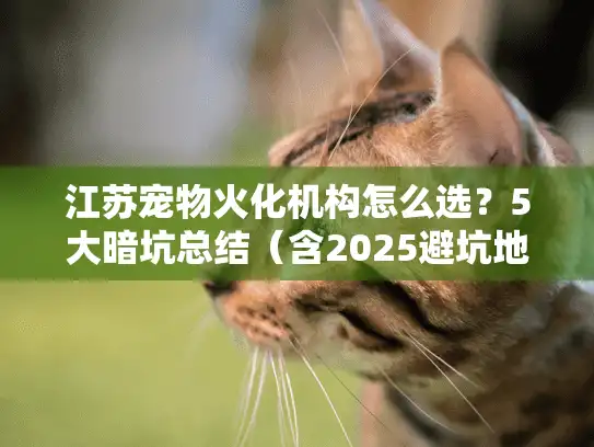 江苏宠物火化机构怎么选？5大暗坑总结（含2025避坑地图）