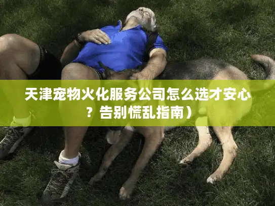 天津宠物火化服务公司怎么选才安心？告别慌乱指南）