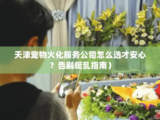 天津宠物火化服务公司怎么选才安心？告别慌乱指南）