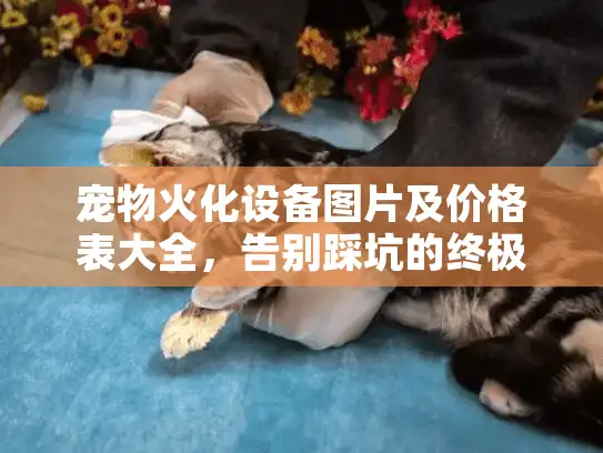 宠物火化设备图片及价格表大全，告别踩坑的终极选择指南