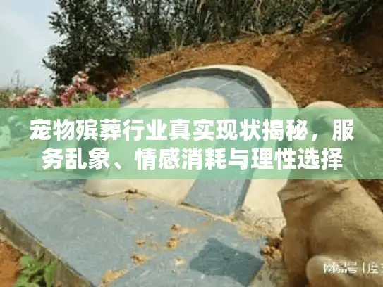宠物殡葬行业真实现状揭秘，服务乱象、情感消耗与理性选择