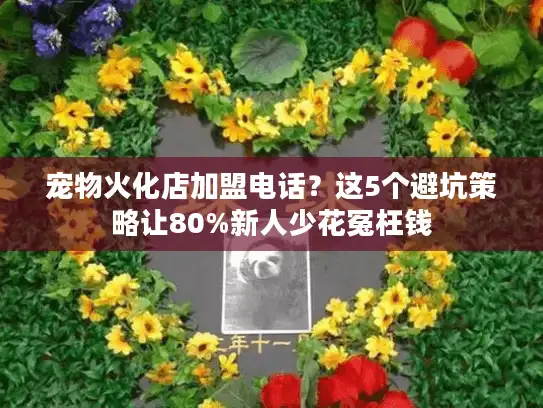 宠物火化店加盟电话？这5个避坑策略让80%新人少花冤枉钱