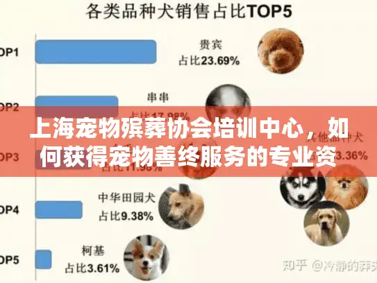 上海宠物殡葬协会培训中心，如何获得宠物善终服务的专业资格？