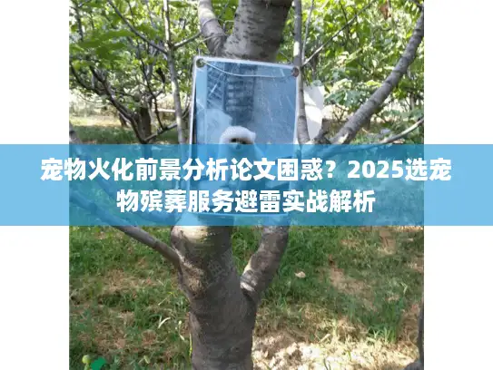 宠物火化前景分析论文困惑？2025选宠物殡葬服务避雷实战解析