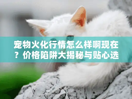 宠物火化行情怎么样啊现在？价格陷阱大揭秘与贴心选择指南！