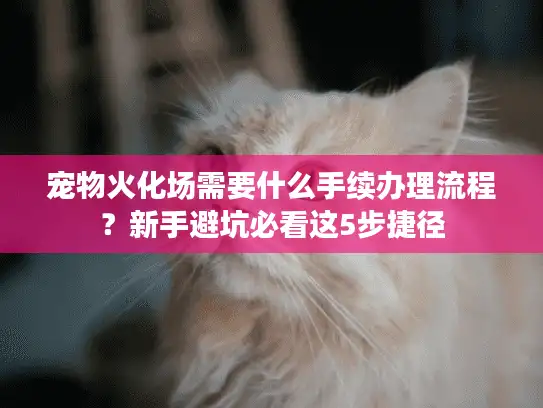 宠物火化场需要什么手续办理流程？新手避坑必看这5步捷径