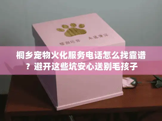 桐乡宠物火化服务电话怎么找靠谱？避开这些坑安心送别毛孩子
