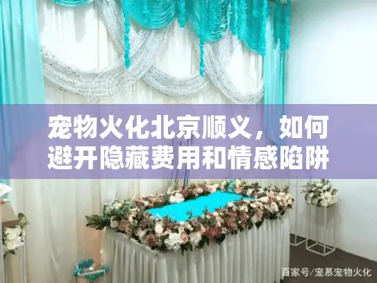 宠物火化北京顺义，如何避开隐藏费用和情感陷阱？