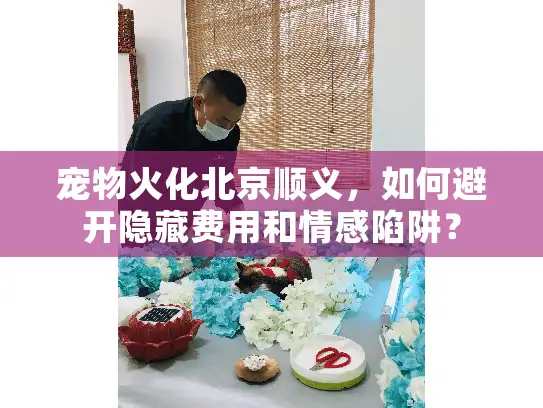 宠物火化北京顺义，如何避开隐藏费用和情感陷阱？