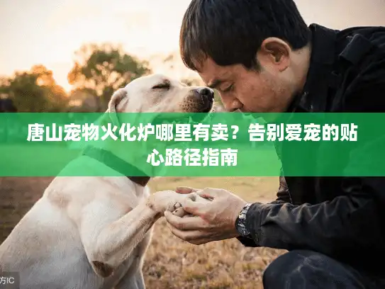 唐山宠物火化炉哪里有卖？告别爱宠的贴心路径指南