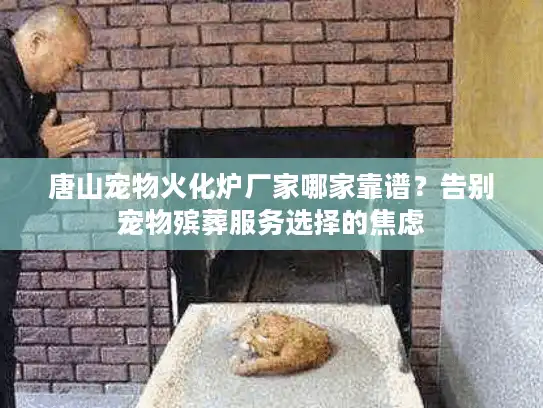 唐山宠物火化炉厂家哪家靠谱？告别宠物殡葬服务选择的焦虑