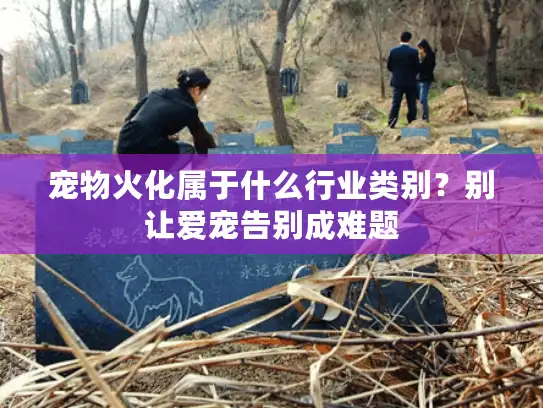 宠物火化属于什么行业类别？别让爱宠告别成难题