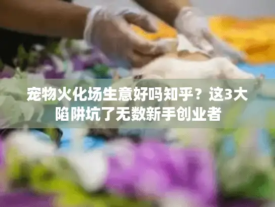 宠物火化场生意好吗知乎？这3大陷阱坑了无数新手创业者