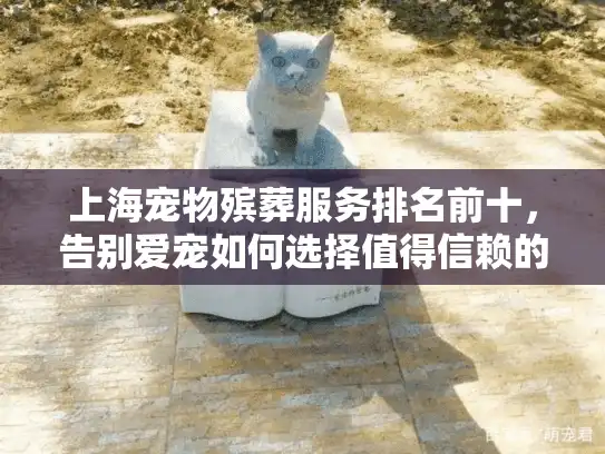 上海宠物殡葬服务排名前十，告别爱宠如何选择值得信赖的机构？