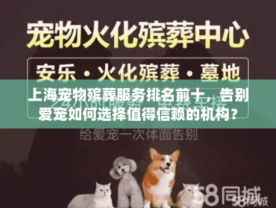 上海宠物殡葬服务排名前十，告别爱宠如何选择值得信赖的机构？
