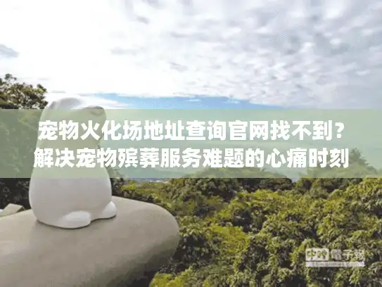 宠物火化场地址查询官网找不到？解决宠物殡葬服务难题的心痛时刻