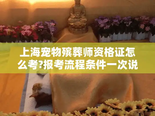 上海宠物殡葬师资格证怎么考?报考流程条件一次说清