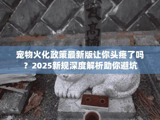 宠物火化政策最新版让你头疼了吗？2025新规深度解析助你避坑