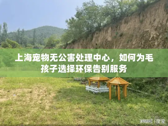 上海宠物无公害处理中心，如何为毛孩子选择环保告别服务