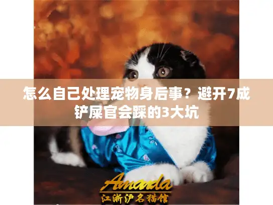 怎么自己处理宠物身后事？避开7成铲屎官会踩的3大坑