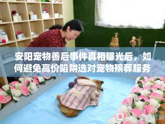 安阳宠物善后事件真相曝光后，如何避免高价陷阱选对宠物殡葬服务？