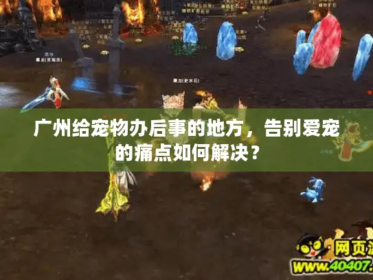 广州给宠物办后事的地方，告别爱宠的痛点如何解决？