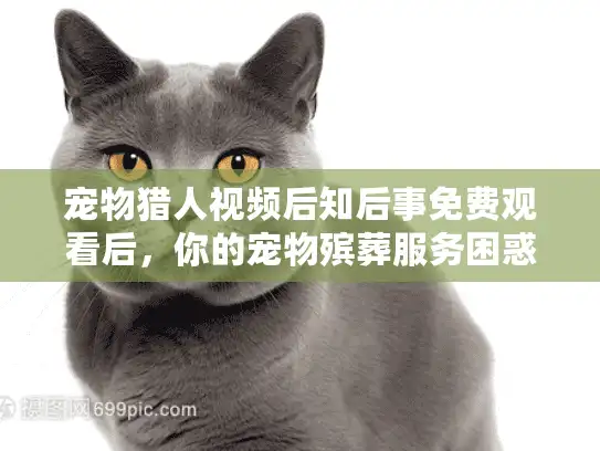 宠物猎人视频后知后事免费观看后，你的宠物殡葬服务困惑有解吗？
