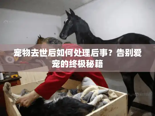 宠物去世后如何处理后事？告别爱宠的终极秘籍