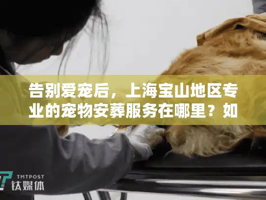 告别爱宠后，上海宝山地区专业的宠物安葬服务在哪里？如何选择？