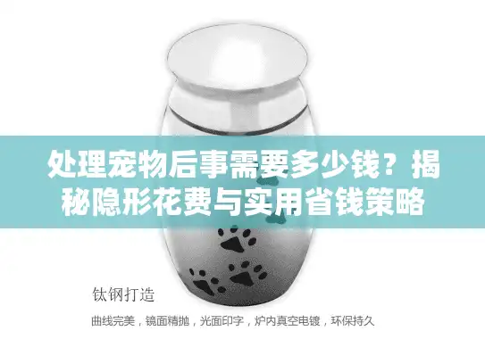 处理宠物后事需要多少钱？揭秘隐形花费与实用省钱策略
