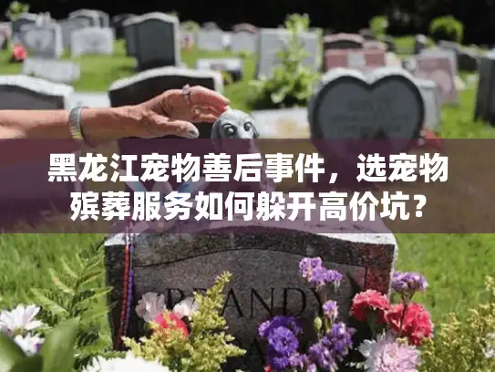 黑龙江宠物善后事件，选宠物殡葬服务如何躲开高价坑？